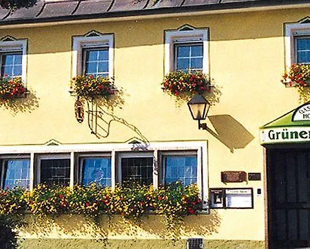 Gruener Baum ホテル 3*