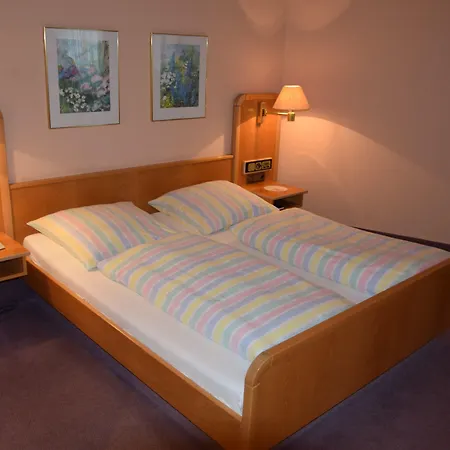 ホテル Gruener Baum Naila